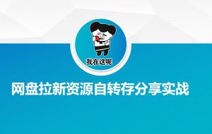 网盘拉新资源自动转存分享实战-精品虚拟资源库