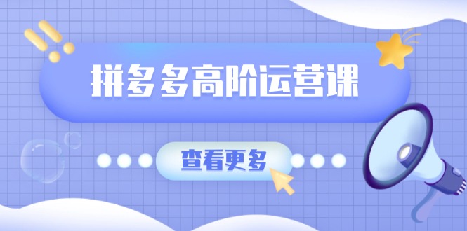 拼多多高阶运营课：极致群爆款玩法，轻付费无尽复制，打造单品爆款之路-精品虚拟资源库