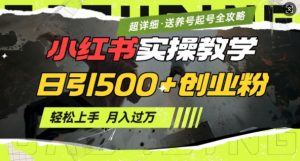 2月小红书最新日引500+创业粉实操教学【超详细】小白轻松上手，月入1W+，附小红书养号起号SOP-精品虚拟资源库