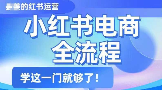 小红书电商全流程，精简易懂，从入门到精通，学这一门就够了-精品虚拟资源库