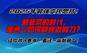 2025年最强变现思路，割韭菜的时代， 普通人如何翻身做镰刀？【揭秘】-精品虚拟资源库