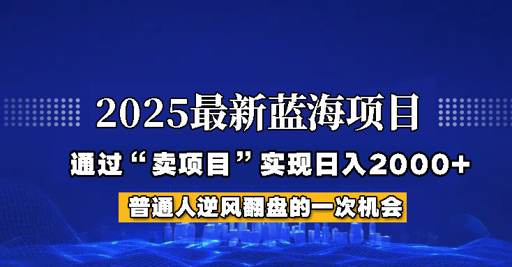 2025年蓝海项目，如何通过“网创项目”日入2000+-精品虚拟资源库