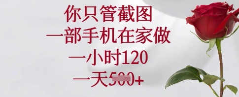 你只管截图，一部手机在家做，一小时120.一天5张【揭秘】-精品虚拟资源库