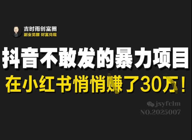 抖音不敢发的暴利项目，在小红书悄悄挣了30W-精品虚拟资源库