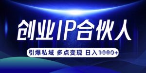 云帆·创业ip合伙人打造3.0，从0到1教你做网创，实现月入过W-精品虚拟资源库