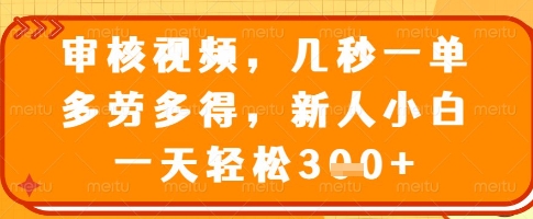 审核视频，几秒一单，多劳多得，新人小白一天轻松3张【揭秘】-精品虚拟资源库