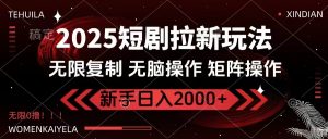 2025短剧拉新玩法，无需注册登录，无限0撸，无脑批量操作日入2000+-精品虚拟资源库