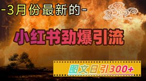 小红书超劲爆引流手段，图文日引300+轻松变现1W-精品虚拟资源库