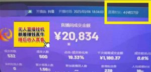 日赚6000+!抖音小时达Ai无人直播躺赚新风口,0门槛吃官方亿级流量!-精品虚拟资源库