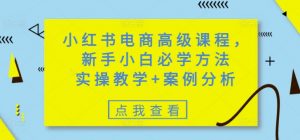 小红书电商高级课程,新手小白必学方法,实操教学+案例分析-精品虚拟资源库