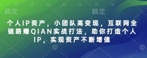 个人IP资产，小团队高变现，互联网全链路赚QIAN实战打法，助你打造个人IP，实现资产不断增值-精品虚拟资源库