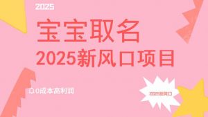 2025新风口项目宝宝取名，0成本高利润，附保姆级教程，月入过万不是梦-精品虚拟资源库