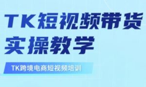东南亚TikTok短视频带货,TK短视频带货实操教学-精品虚拟资源库
