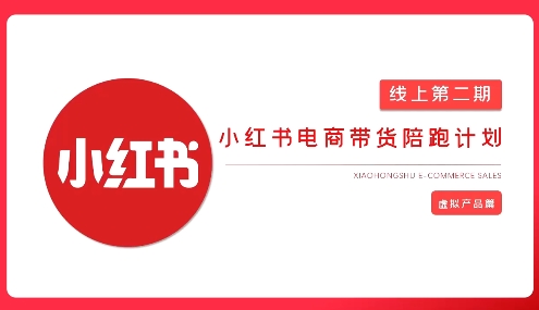 2025小红书虚拟电商实战课，从0到1打造无货源店铺，AI+爆款笔记轻松变现-精品虚拟资源库