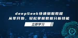 deepSeek快速驯服教程，从零开始，轻松掌握数据分析技能-精品虚拟资源库