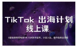 TikTok跨境电商新手起号与运营全攻略,0基础做跨境电商TIKTOK新手起号,小店入驻,操作指南全流程-精品虚拟资源库
