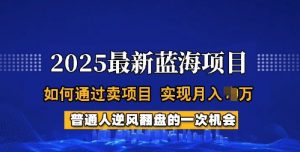 2025蓝海项目,普通人如何通过卖项目,实现月入过W,全过程【揭秘】-精品虚拟资源库