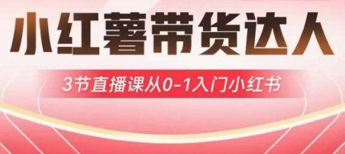 小红薯达人带货启航计划，3节直播课从0-1入门小红书-精品虚拟资源库