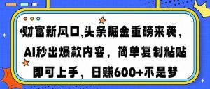 财富新风口,头条掘金重磅来袭AI秒出爆款内容简单复制粘贴即可上手，日...-精品虚拟资源库