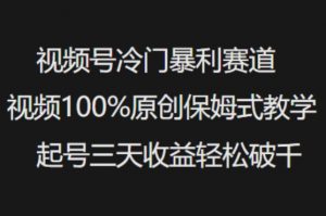 视频号冷门暴利赛道视频100%原创保姆式教学起号三天收益轻松破千-精品虚拟资源库
