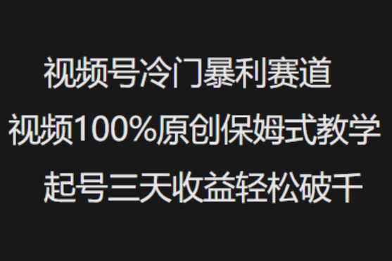 视频号冷门暴利赛道视频100%原创保姆式教学起号三天收益轻松破千-精品虚拟资源库