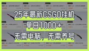 25年最新CSGO挂机系统，单日1000+，无需电脑，无需养号，0基础可上手-精品虚拟资源库