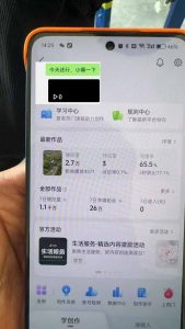 抖音暴力涨粉技术：一天轻松1-10万粉，技术不确定真实性，自测-精品虚拟资源库