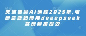 天诺老吴AI课程2025年,电商企业如何用deeepseek实现降本提效-精品虚拟资源库