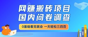 网赚搬砖项目,国内问卷调查,0基础看完就会 一天轻松三四百,靠谱副业...-精品虚拟资源库