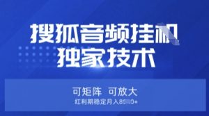 【搜狐音频挂G】独家技术，可矩阵可放大，红利期稳定月入8k【揭秘】-精品虚拟资源库