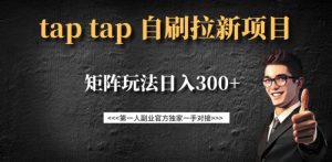 taptap拉新自刷项目，一个新用户14元，矩阵玩法日入300+-精品虚拟资源库