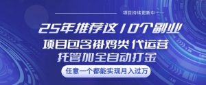 25年推荐这10个副业项目包含褂鸡类、代运营托管类、全自动打金类【揭秘】-精品虚拟资源库