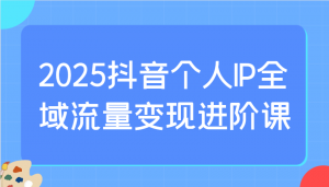 2025抖音个人IP全域流量变现进阶课：选爆品、抖音付费投流、千川投流实操及优化等-精品虚拟资源库