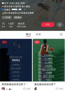 小红书治愈文案图文笔记，零门槛，一分钟制作轻松制作爆款作品月入万元-精品虚拟资源库