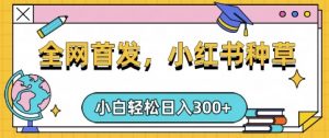 小红书种草，手机项目，日入3张，复制黏贴即可，可矩阵操作，动手不动脑【揭秘】-精品虚拟资源库