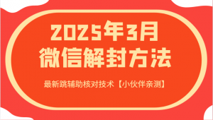 2025年3月微信解封方法 最新跳辅助核对技术【小伙伴亲测】-精品虚拟资源库