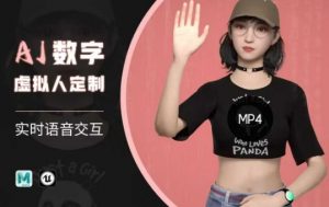 Ai数字人虚拟(智能体)实时语音交互特训营，​自行定制超写实角色AI数字人交互技术-精品虚拟资源库