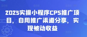 2025实操小程序CPS推广项目，自用推广渠道分享，实现被动收益-精品虚拟资源库