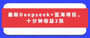 最新Deepseek+蓝海项目，十分钟收益2张-精品虚拟资源库