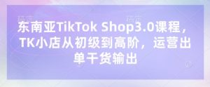 东南亚TikTok Shop3.0课程,TK小店从初级到高阶,运营出单干货输出-精品虚拟资源库