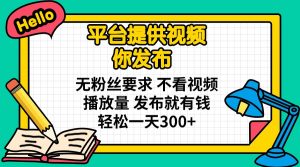 平台提供视频 你发布 无粉丝要求 不看视频播放量 发布就有钱 轻松一天300+-精品虚拟资源库