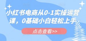 小红书电商从0-1实操运营课，0基础小白轻松上手-精品虚拟资源库
