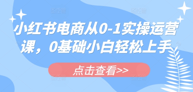小红书电商从0-1实操运营课，0基础小白轻松上手-精品虚拟资源库