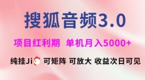 搜狐音频挂ji3.0.可矩阵可放大,独家技术,稳定月入5000+【揭秘】-精品虚拟资源库
