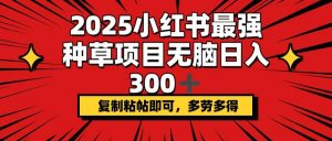 2025小红书最强种草项目，无脑日入300+，复制粘帖即可，多劳多得-精品虚拟资源库