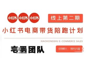 小红书电商带货课2期，月利润20个的小红书电商的有货源，无货源，虚拟产品，付费投流等整套玩法-精品虚拟资源库