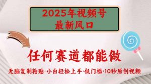 2025年视频号新风口，低门槛只需要无脑执行-精品虚拟资源库