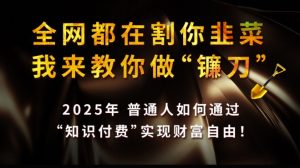 全网都在割你韭菜,我来教你做镰刀,2025普通人如何通过知识付费,实现财F自由【揭秘】-精品虚拟资源库