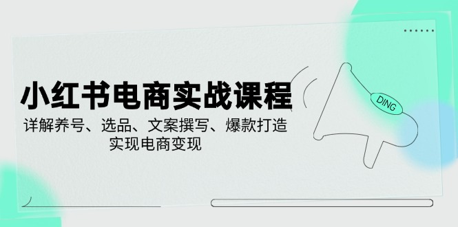 小红书电商实战课程，详解养号、选品、文案撰写、爆款打造，实现电商变现-精品虚拟资源库