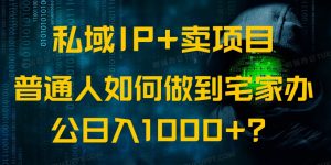 私域IP+卖项目,普通人如何做到宅家办公实现日入1000+-精品虚拟资源库